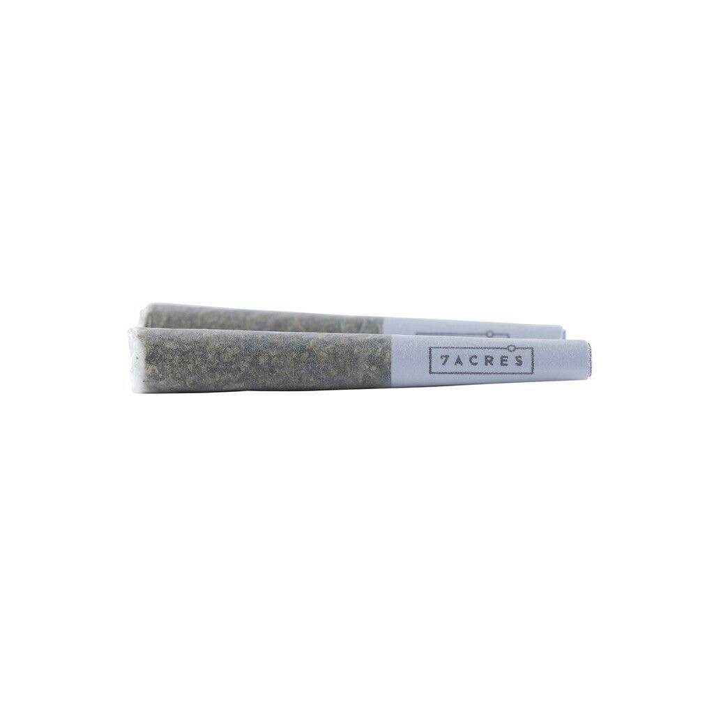 Sensi Star Pre-Rolls
