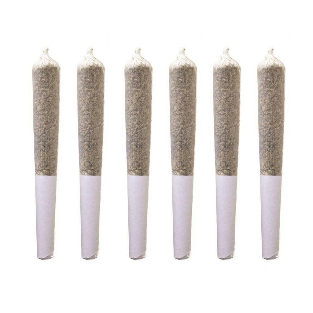 Station House- Holiday Sampler Pre-Roll 6 Pack