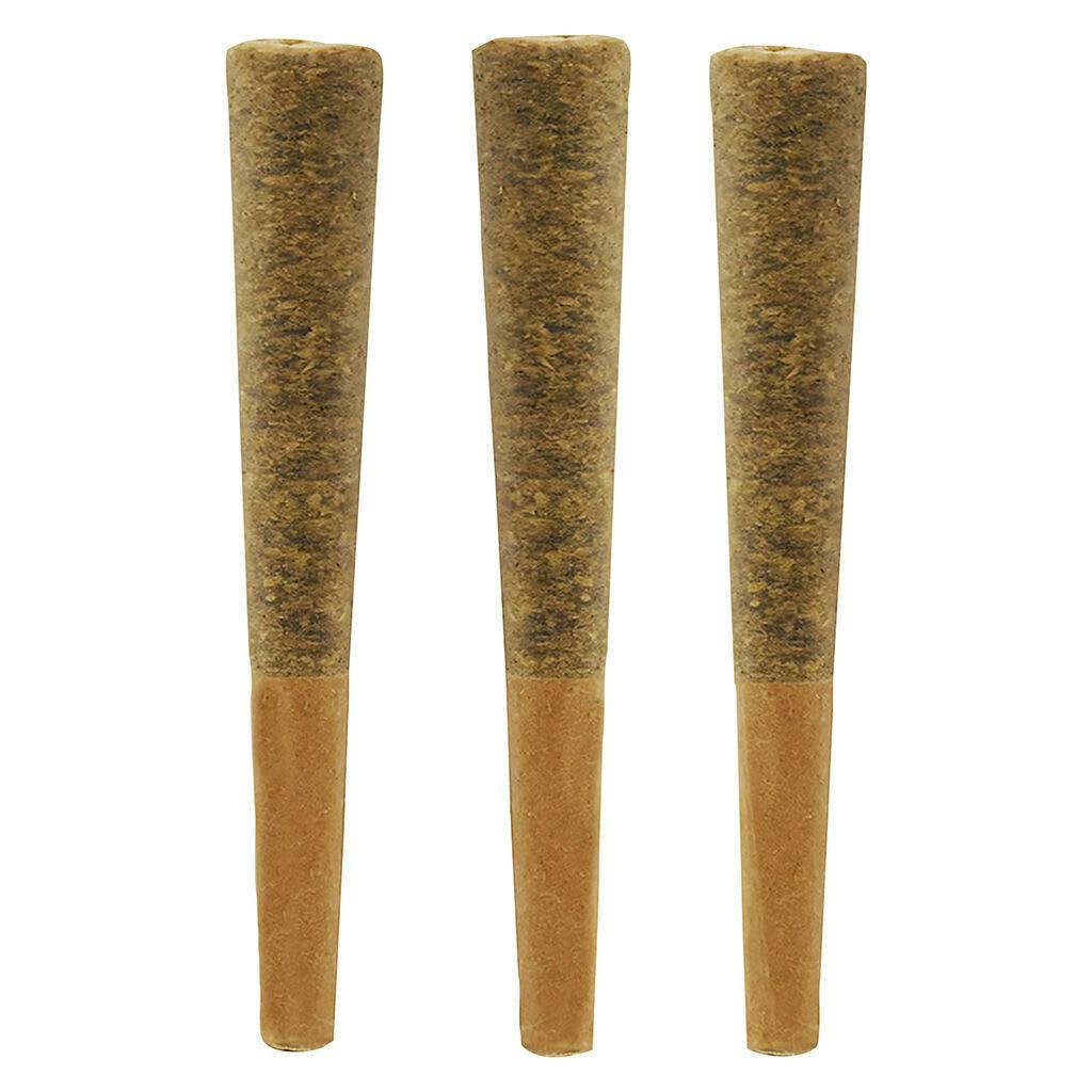 Noodz- Jungle Fire Pre-Roll