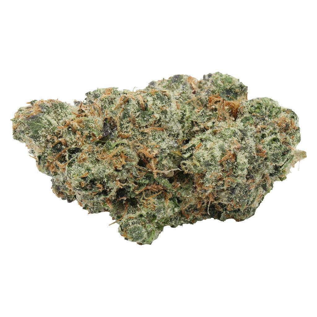Carmel- Blue Nerd-z