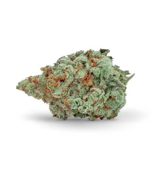 The Green Organic Dutchman - TGOD - Organic Gold Butter MAC - Indica - 3.5g