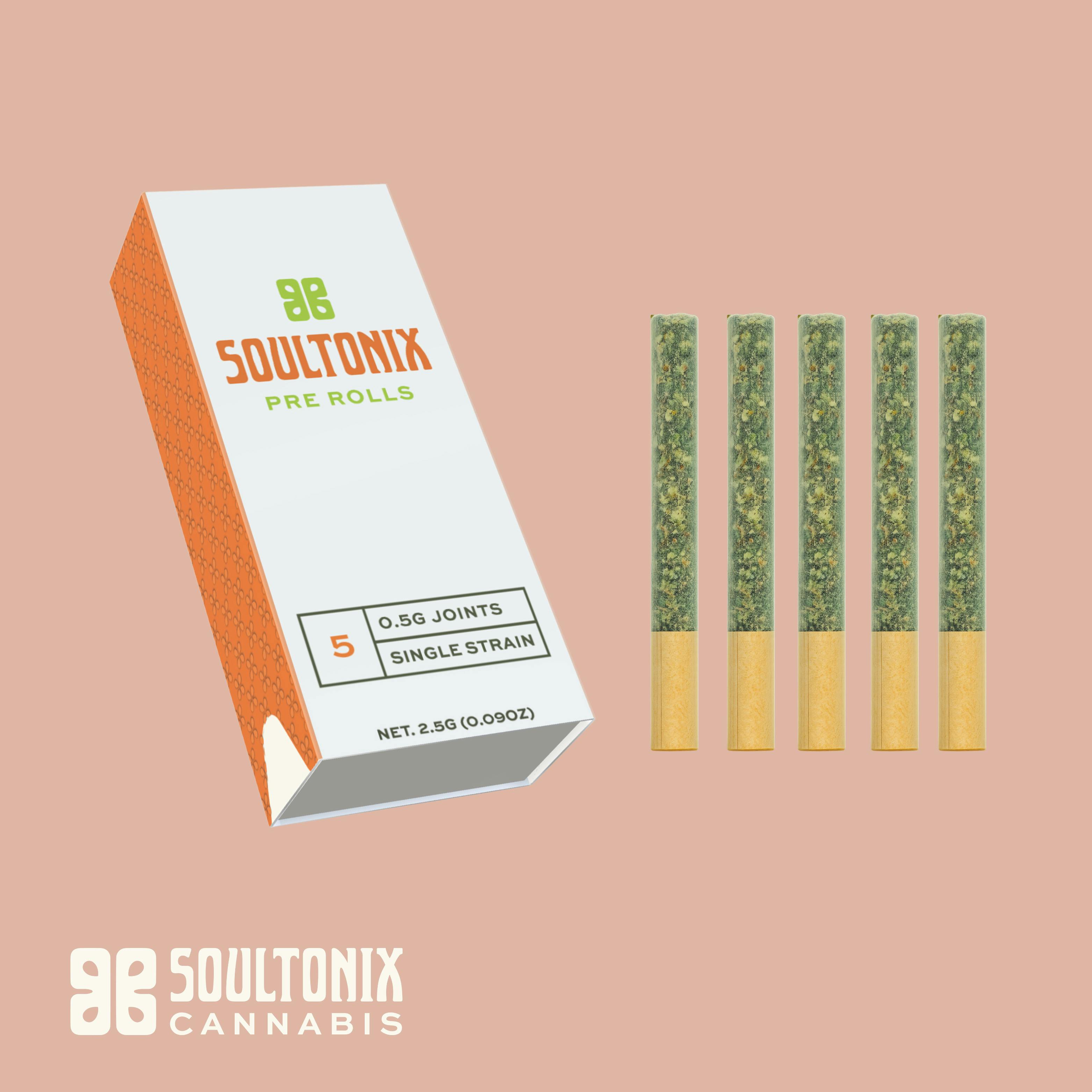 STX - Governmint Oasis 5pk Pre-Roll