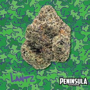 Fun Dip | Deli cannabis product