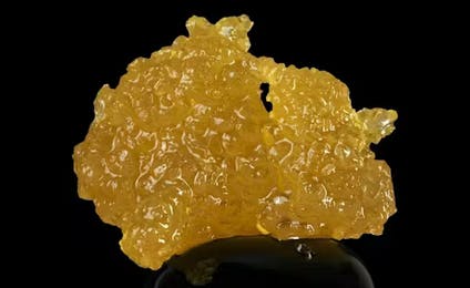 GLOBS | HELLA ORANGES SAUCE | 1G | HYBRID
