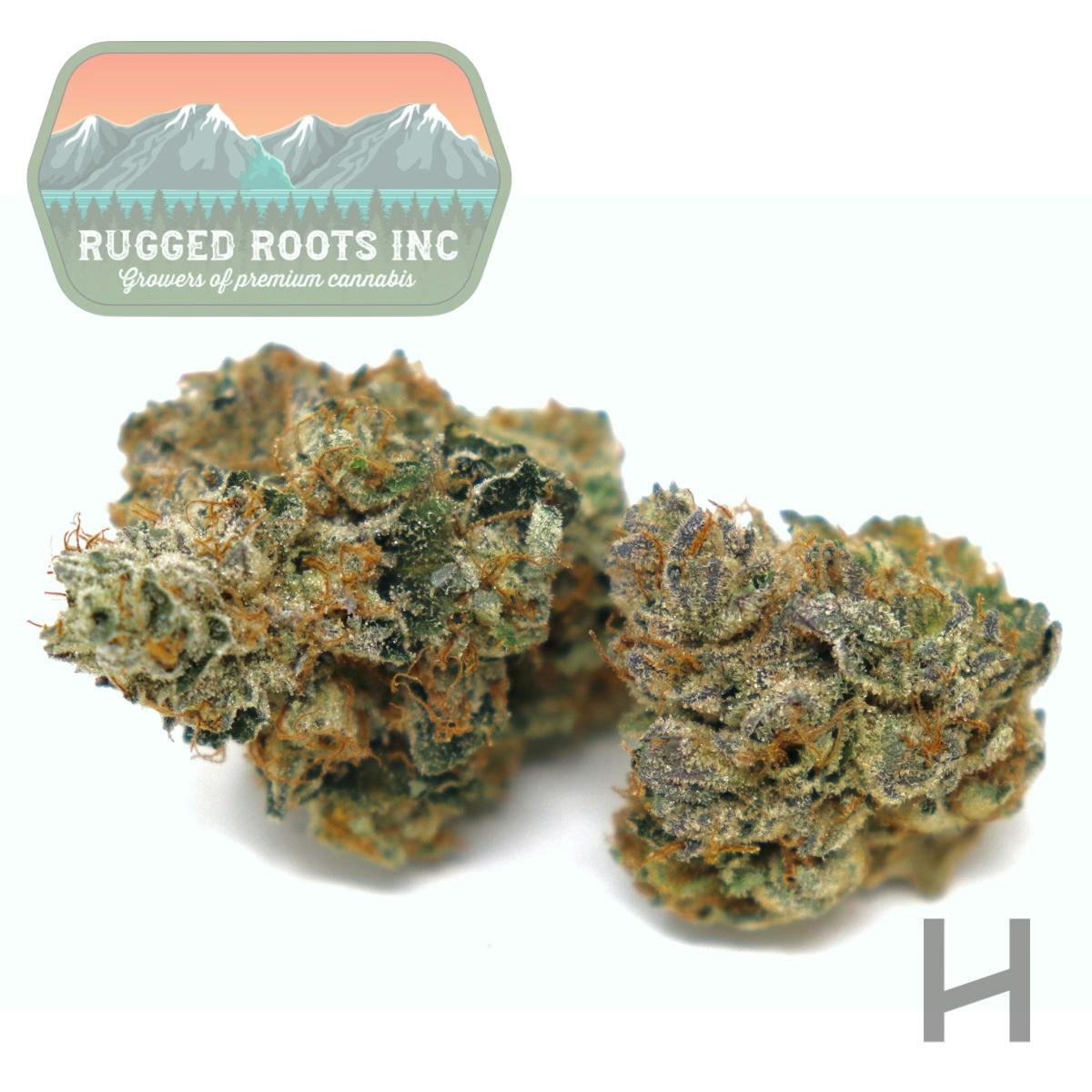 Rugged Roots | Mary | Flower | H | [3.5g]