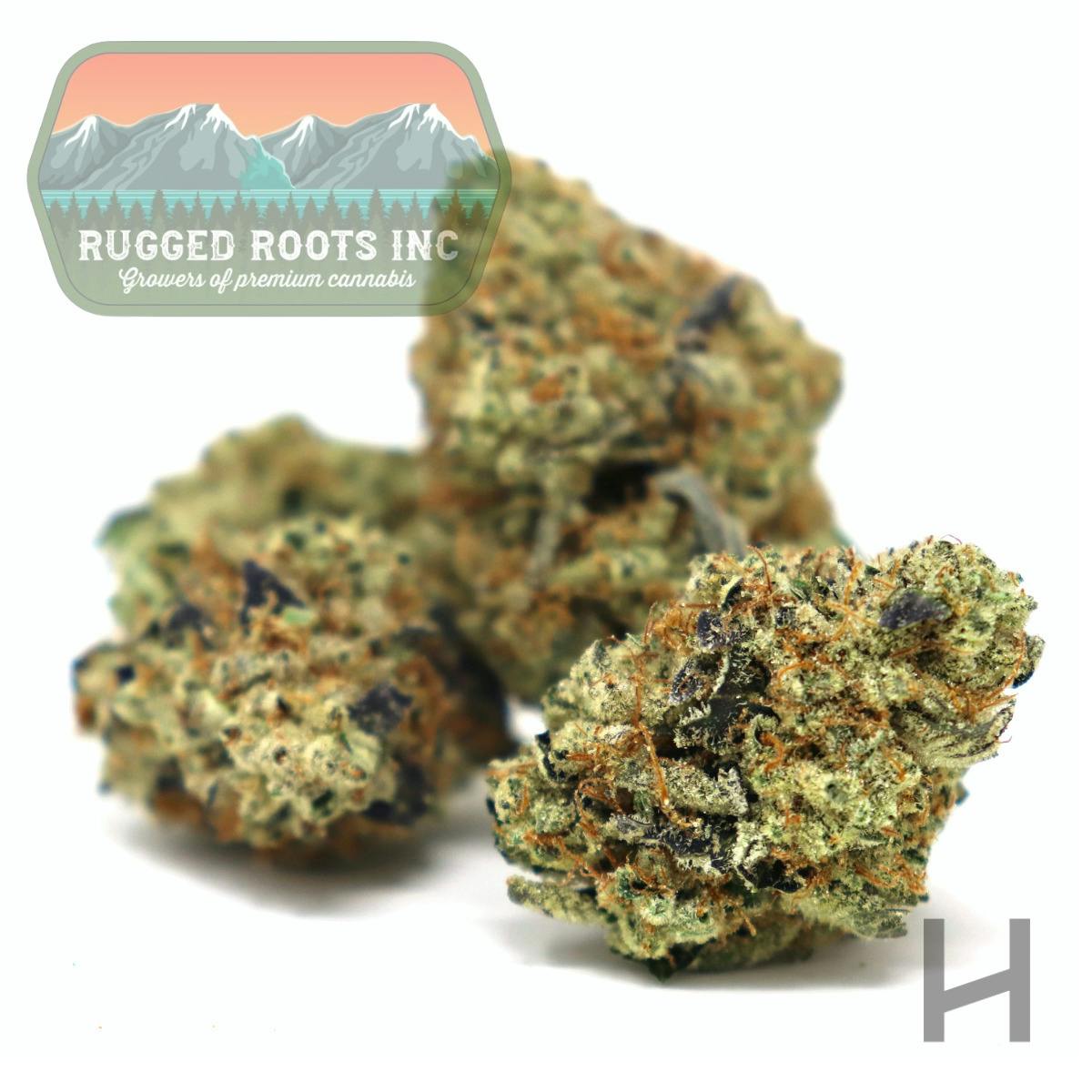 Rugged Roots | Nitro Fumes | Flower | H | [3.5g]