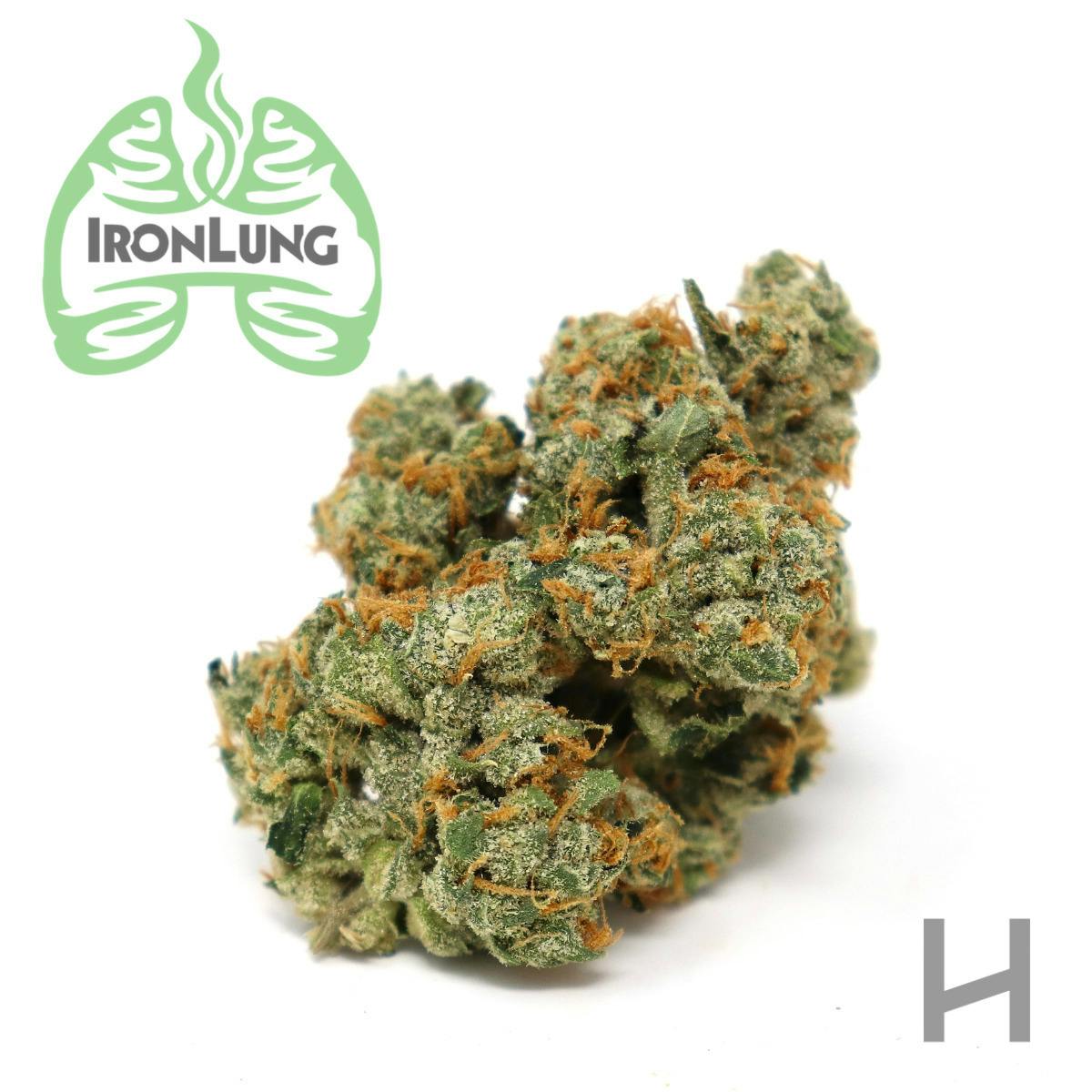Iron Lung | Banana Cream | Flower | I | [3.5g]