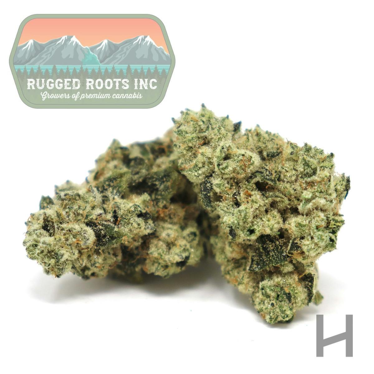 Rugged Roots | EDOG | Flower | H | [3.5g]