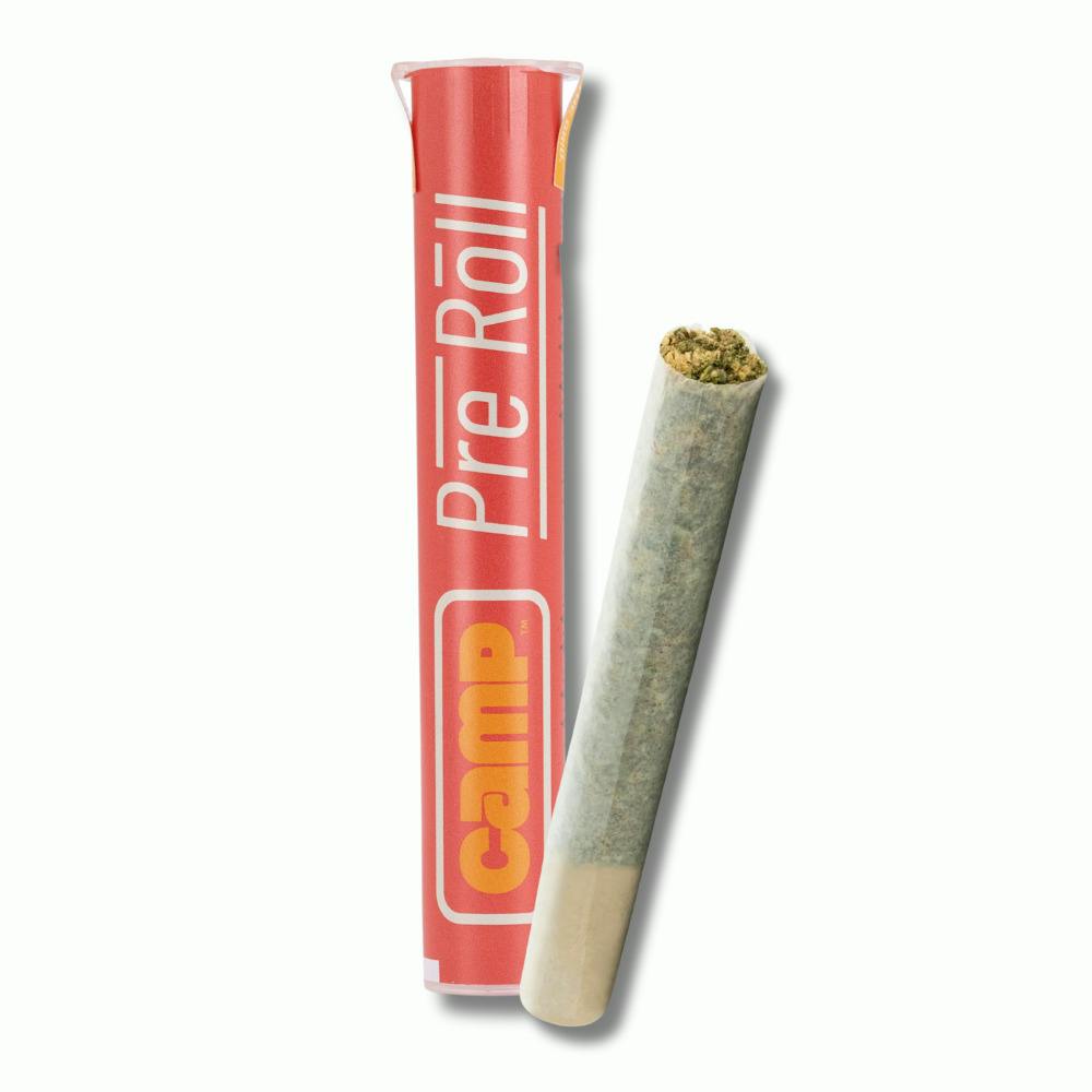 CAMP | Pre Roll | Starduster | [1g] | Sativa