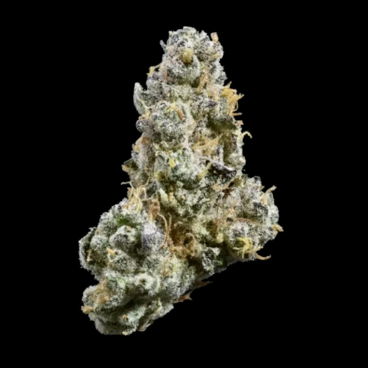 Paul's Boutique | Major League Chew | Flower | H | [3.5g]