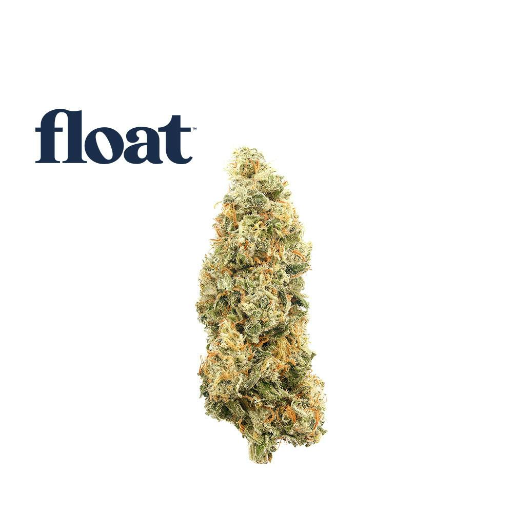 Blueberry Mojito - Flower