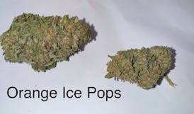 Ganja | Orange Ice Pop