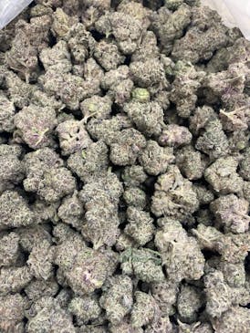 Grateful | Pink Zittlez x Trop Cherry