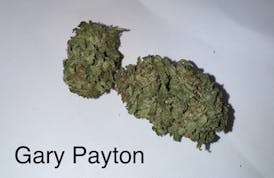 Ganja Guys | Gary Payton