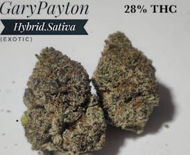 Gary Payton