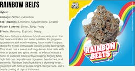 Rainbow Belts