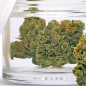Sherb Cream Pie