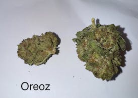 Oreoz