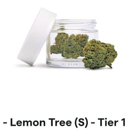 Lemon Tree
