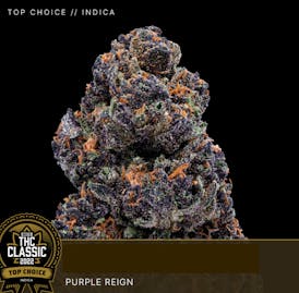 Purple Reign