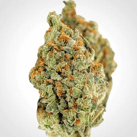 GG #4