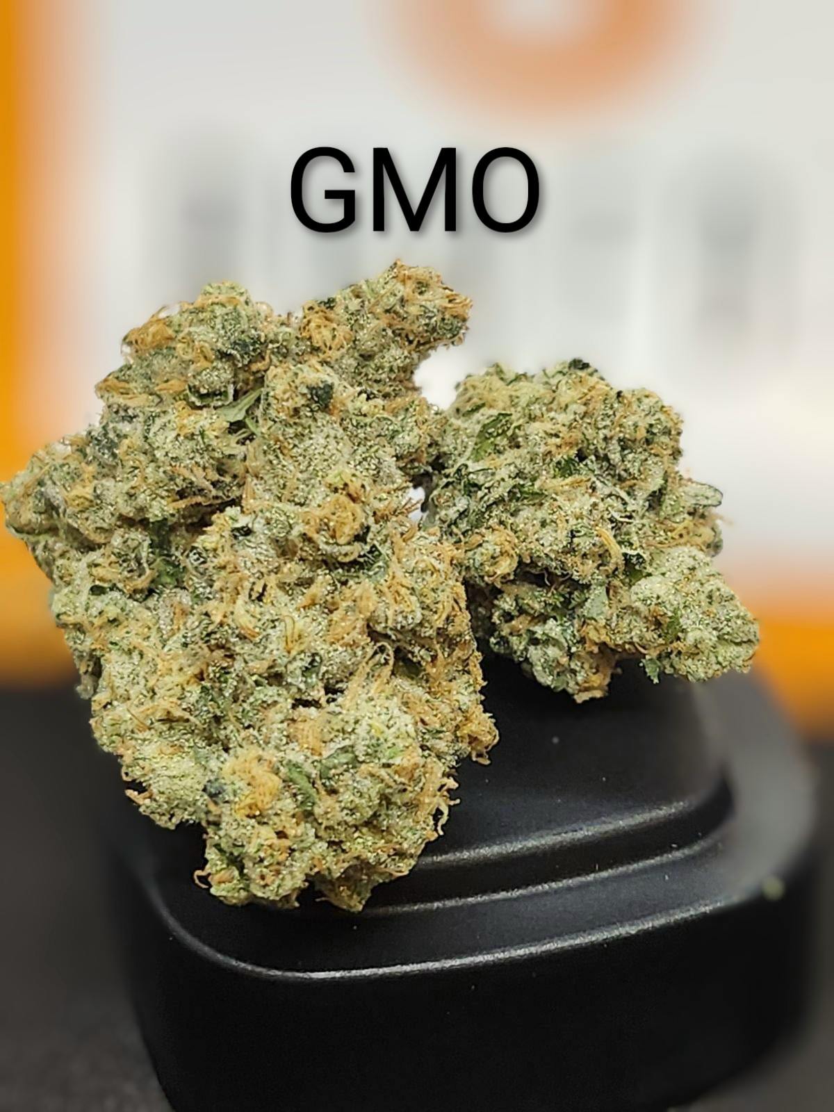 Fox | GMO