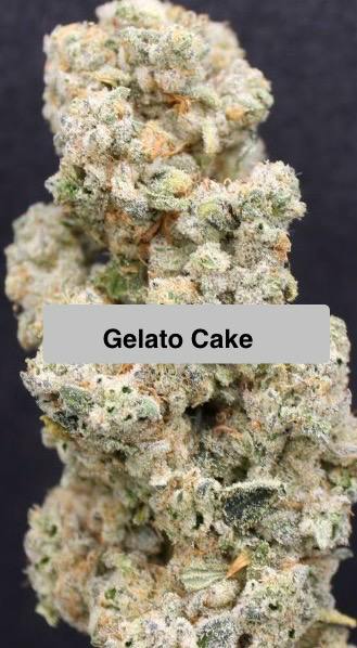 Host | Gelato Cake