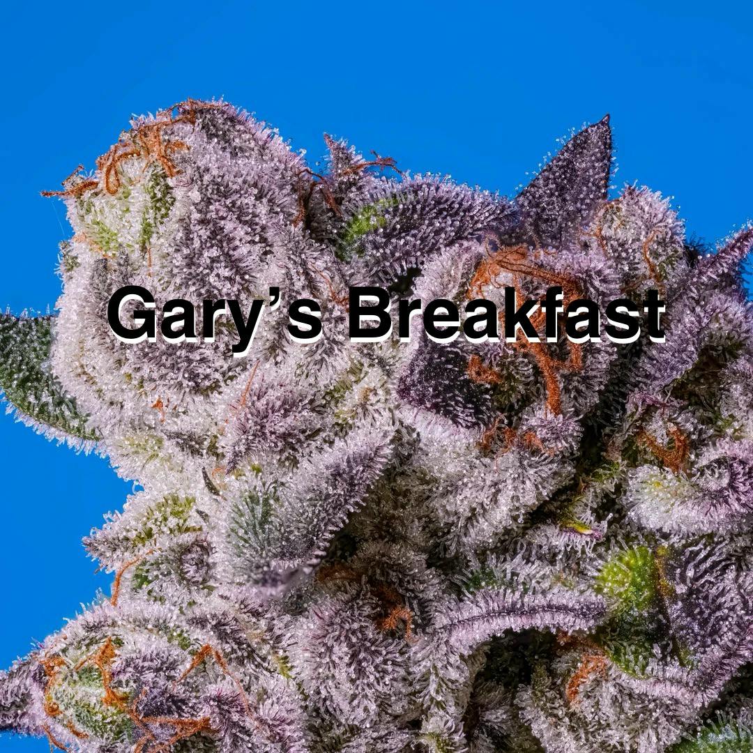 Grateful Garys Breakfast