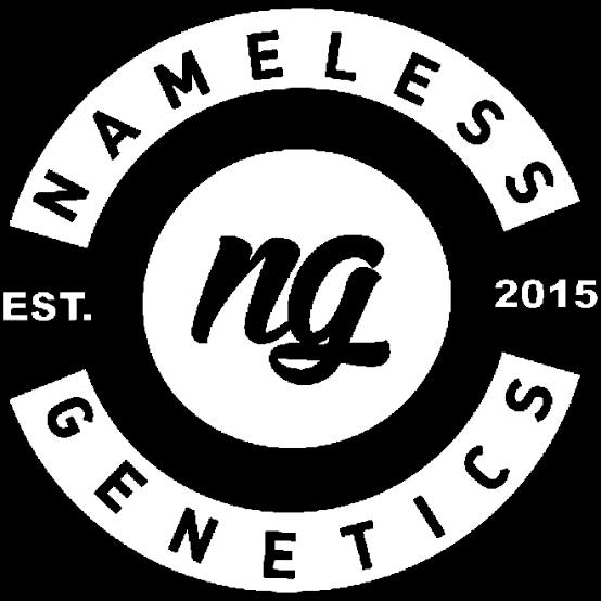 NAMELESS GENETICS | FLOWER | SOUR PEACHES | H - 3.5 g