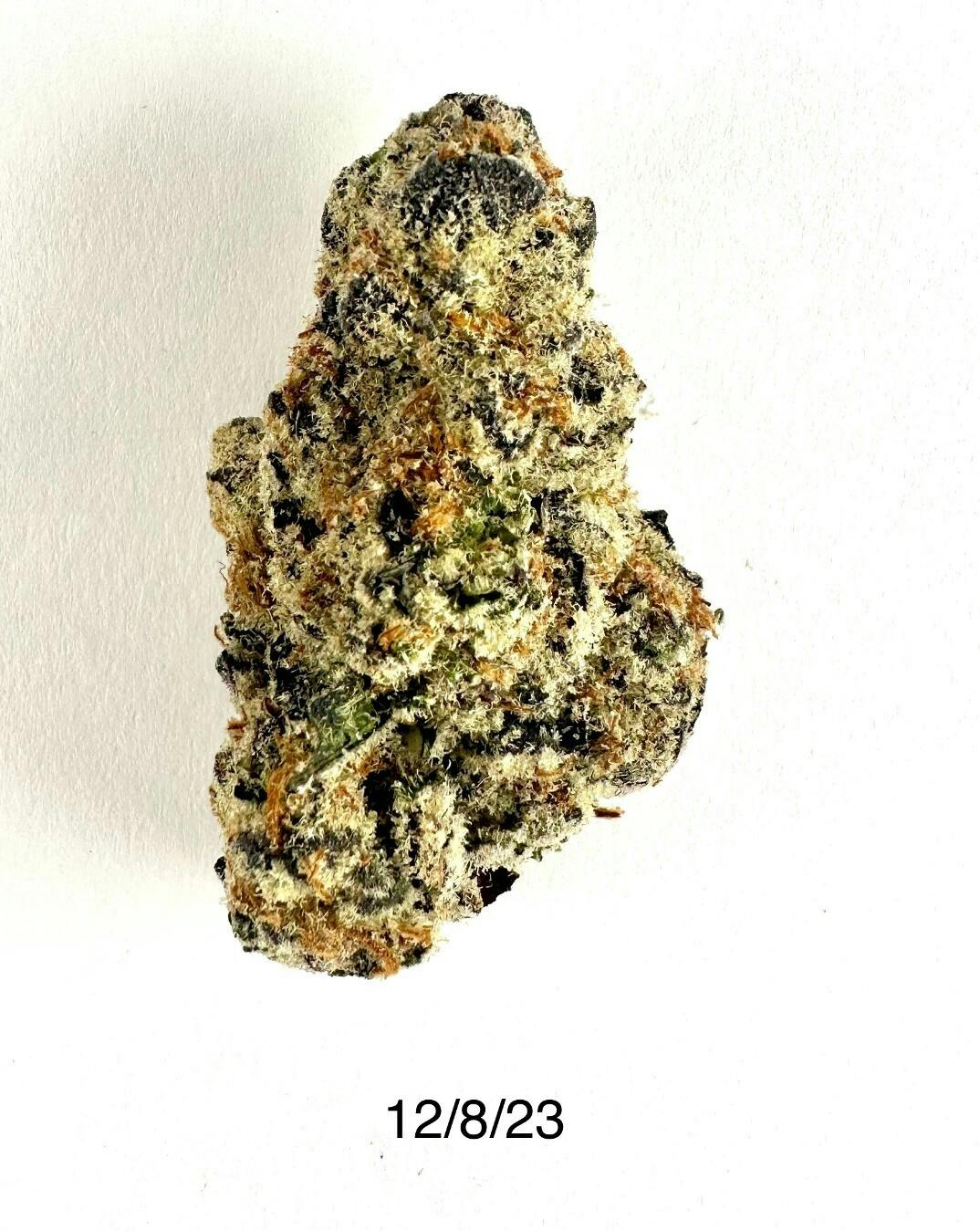 Glitter Bomb