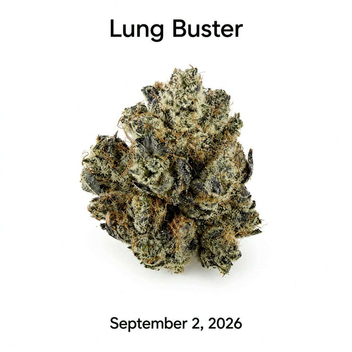 Lung Buster