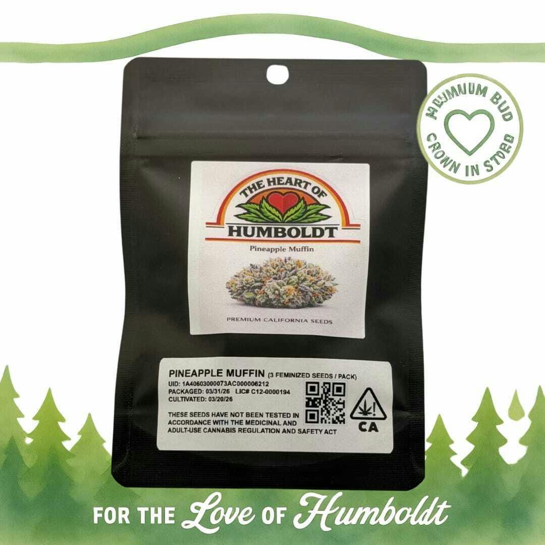 THE HEART OF HUMBOLDT - Pineapple Muffin Pack Fem Seeds