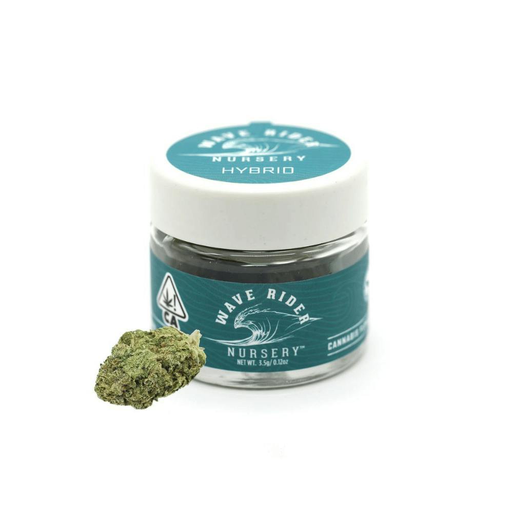 WAVE RIDER - APPLE FRITTER 3.5G - 3.5 grams