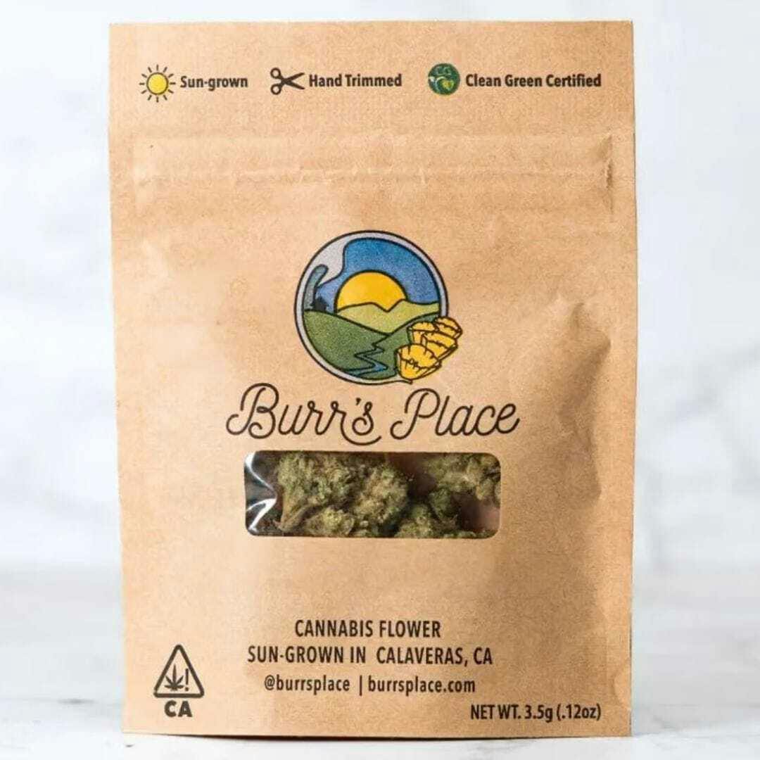 Burr's Place - Gazzurple | Big Buds | 3.5g - 3.5 grams