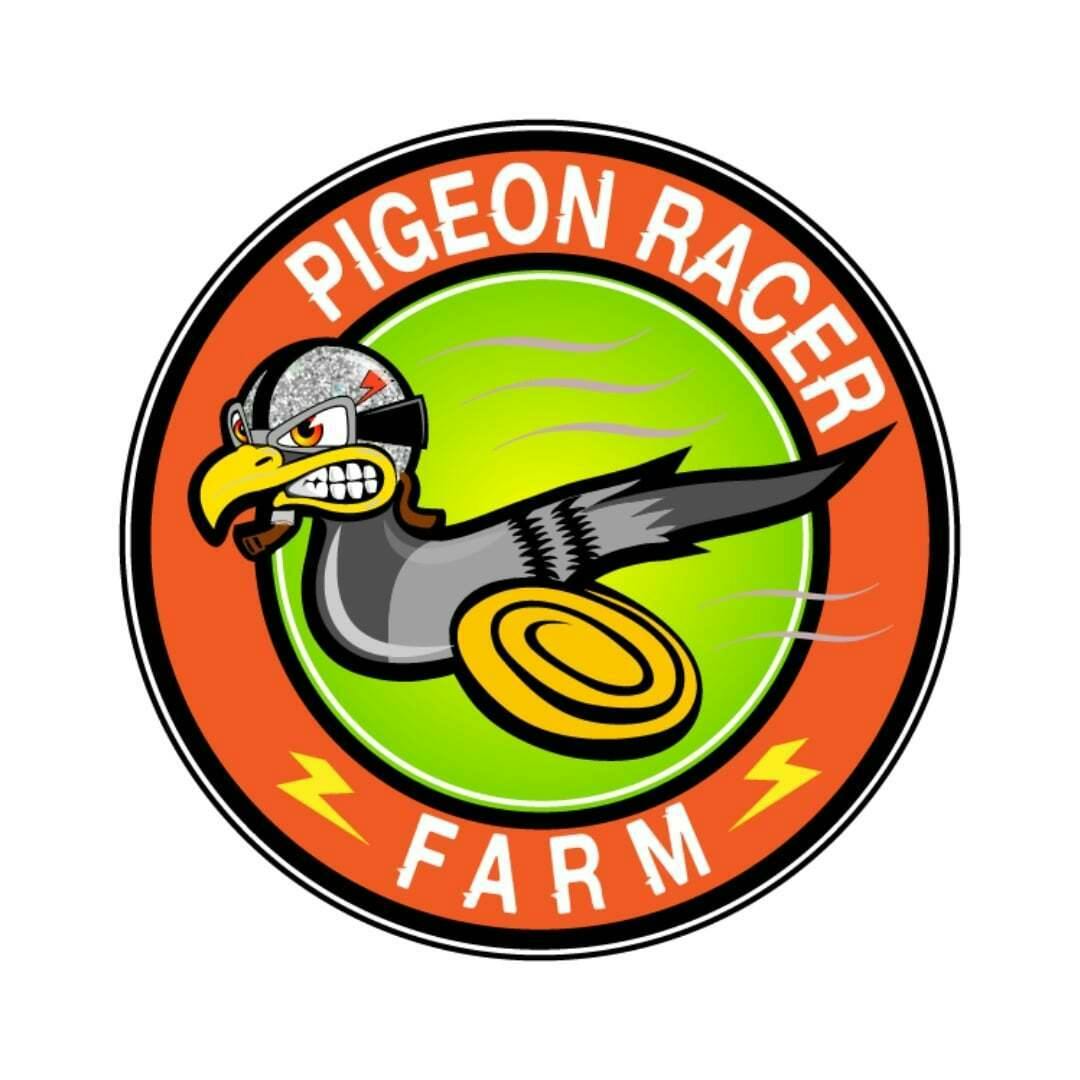 Pigeon Racer Farm - UNI 3.5G - 3.5 items