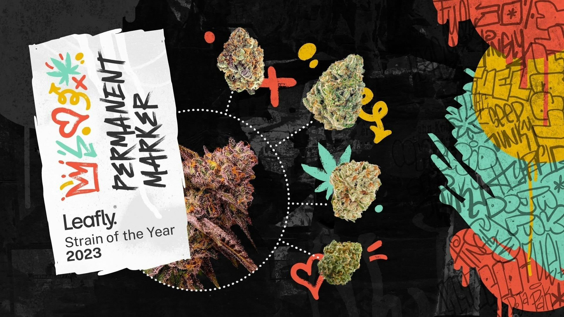 Permanent Chimera | Big Buds by Spaceman Cannabis