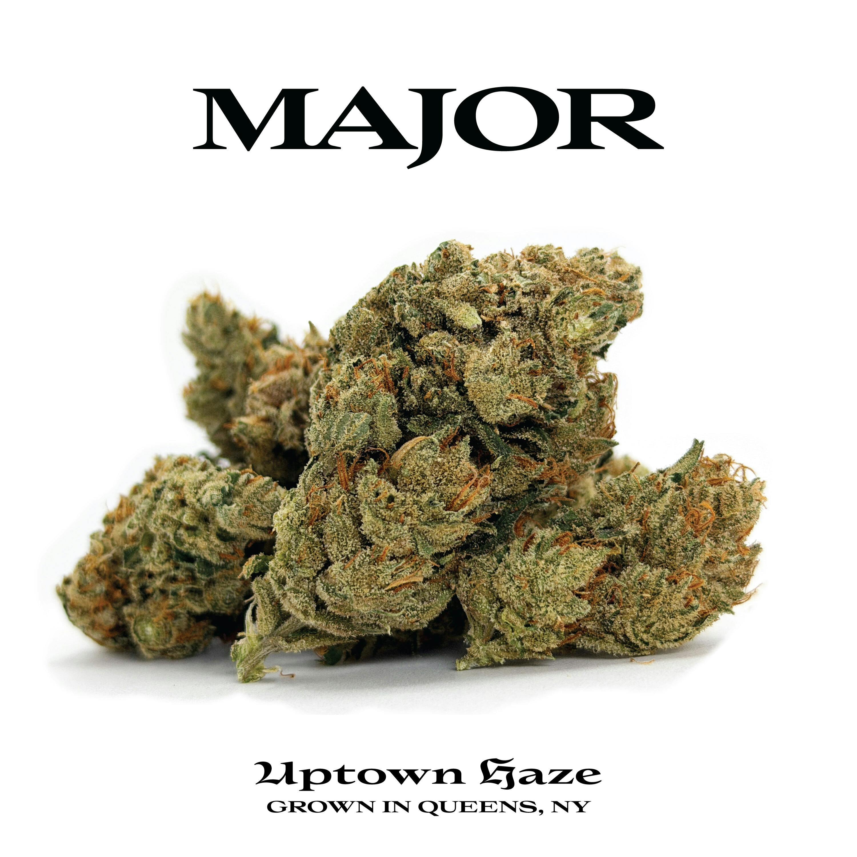 Major Uptown Haze 3.5g