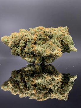 XJ-13 by Heartland Farms