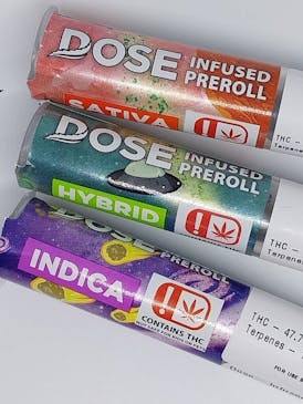 Dose - 1g Infused Preroll - Cherry Pie
