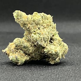 Slow Burn - GMO