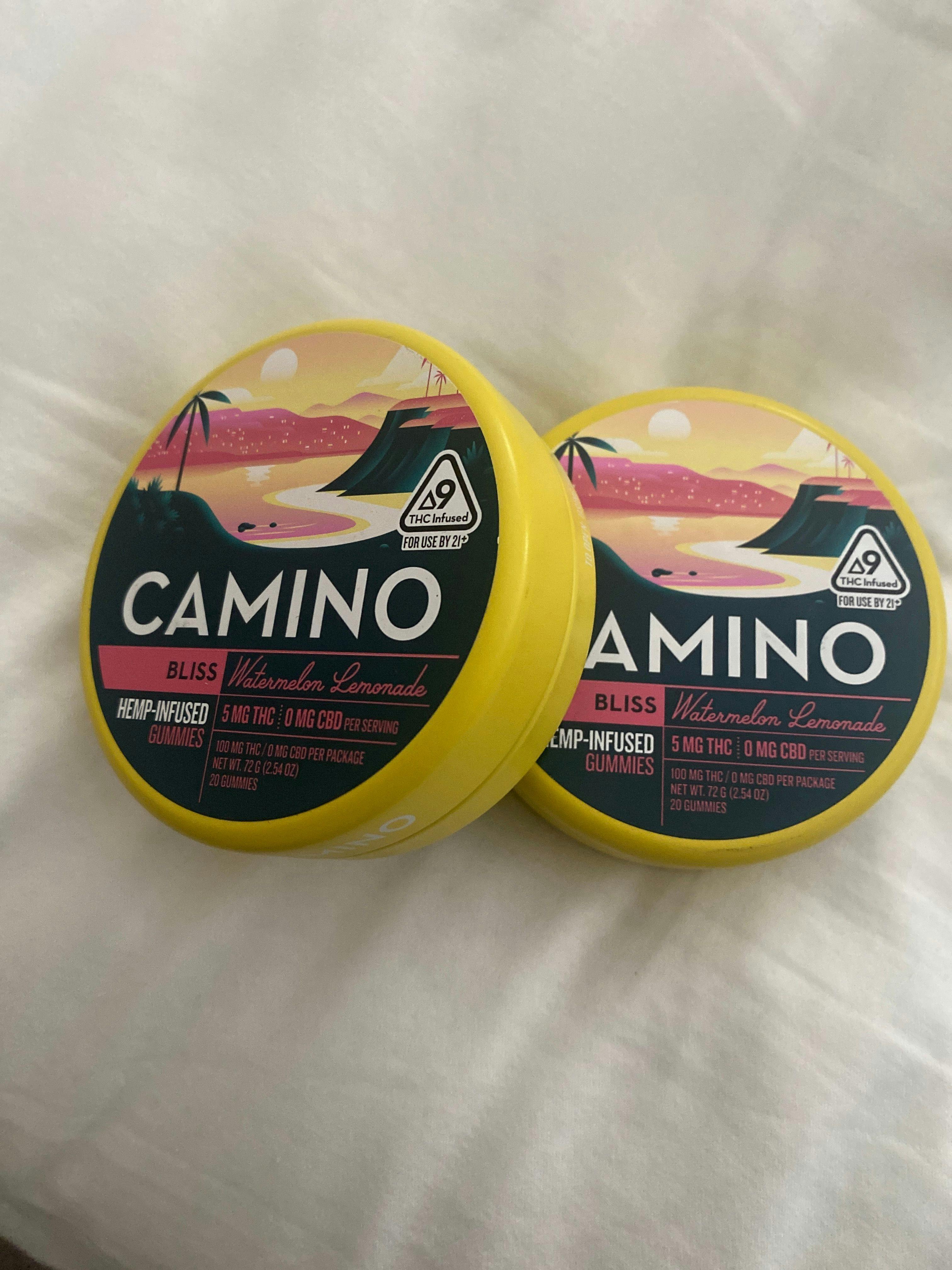 Camino Watermelon Lemonade