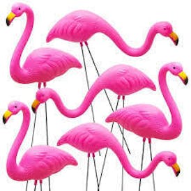 Pink Flamingo 918 Preroll - Gello x TKM