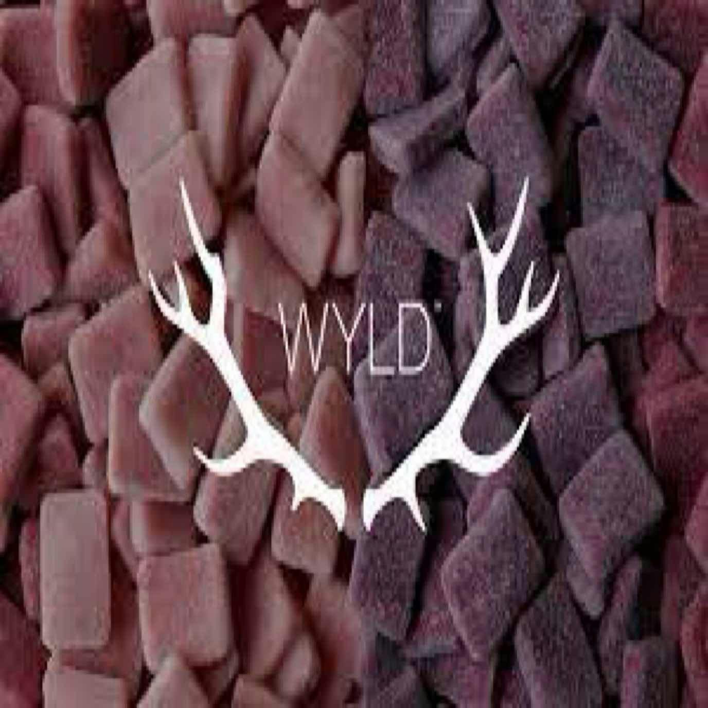 Wyld Edibles - Huckleberry 100mg Hybrid Gummies