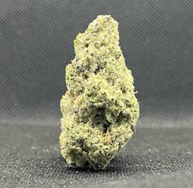 Purple Milk - Flower
