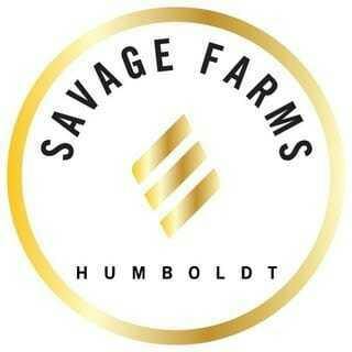 Savage Farms - Whitethorn Rose x Rainbow Beltz 3.5g - 3.5 grams