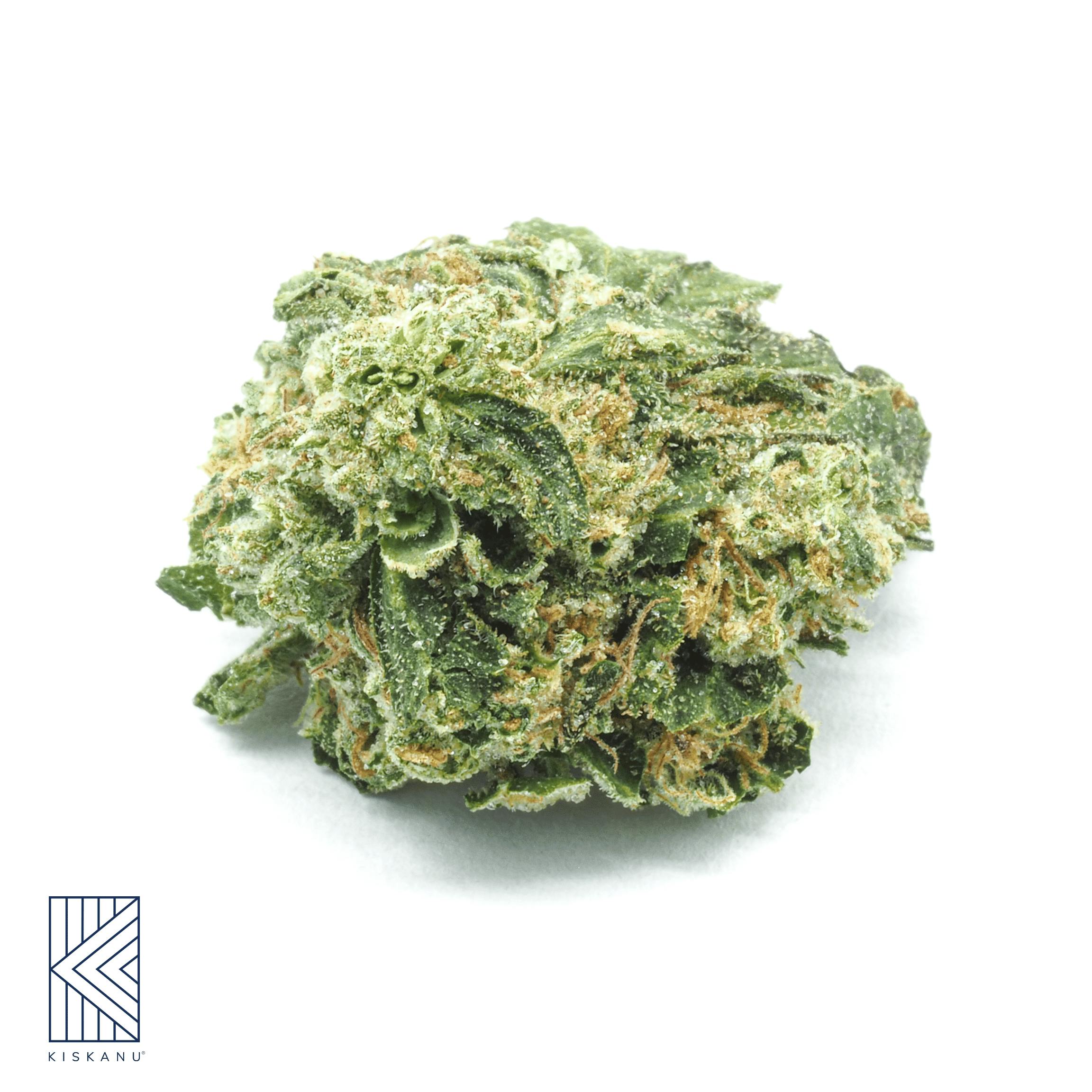 Kiskanu - Lemon Cherry Sherb Smalls 3.5g - Lemon Cherry Sherb Smalls 3.5g
