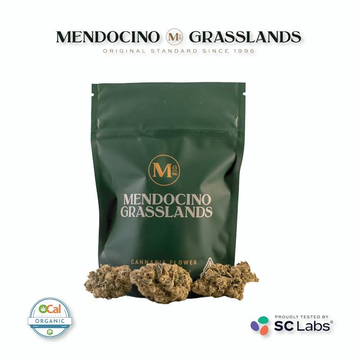 Mendocino Grasslands - Mule Fuel - Mule Fuel 3.5g