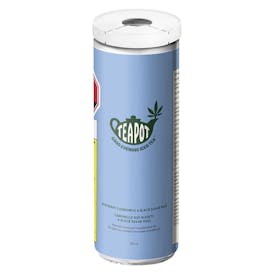 TeaPot - Good Evening Iced Tea Blueberry Chamomile Tea - 355ml