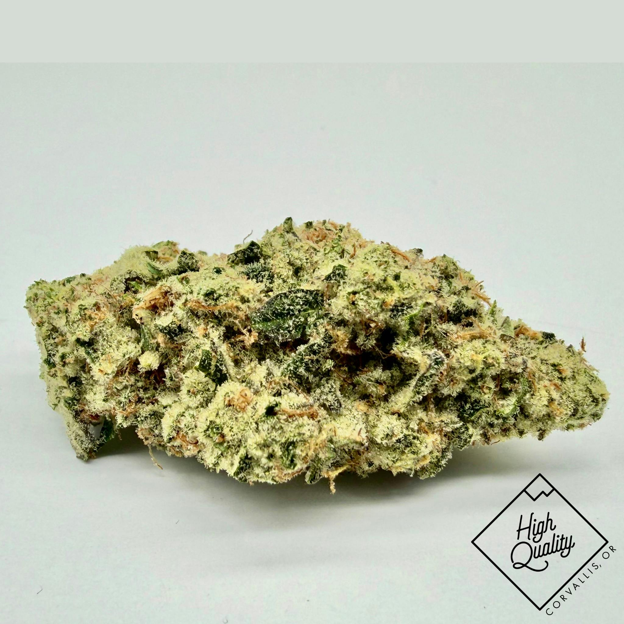 Cap Junky - Kaprikorn (H)
