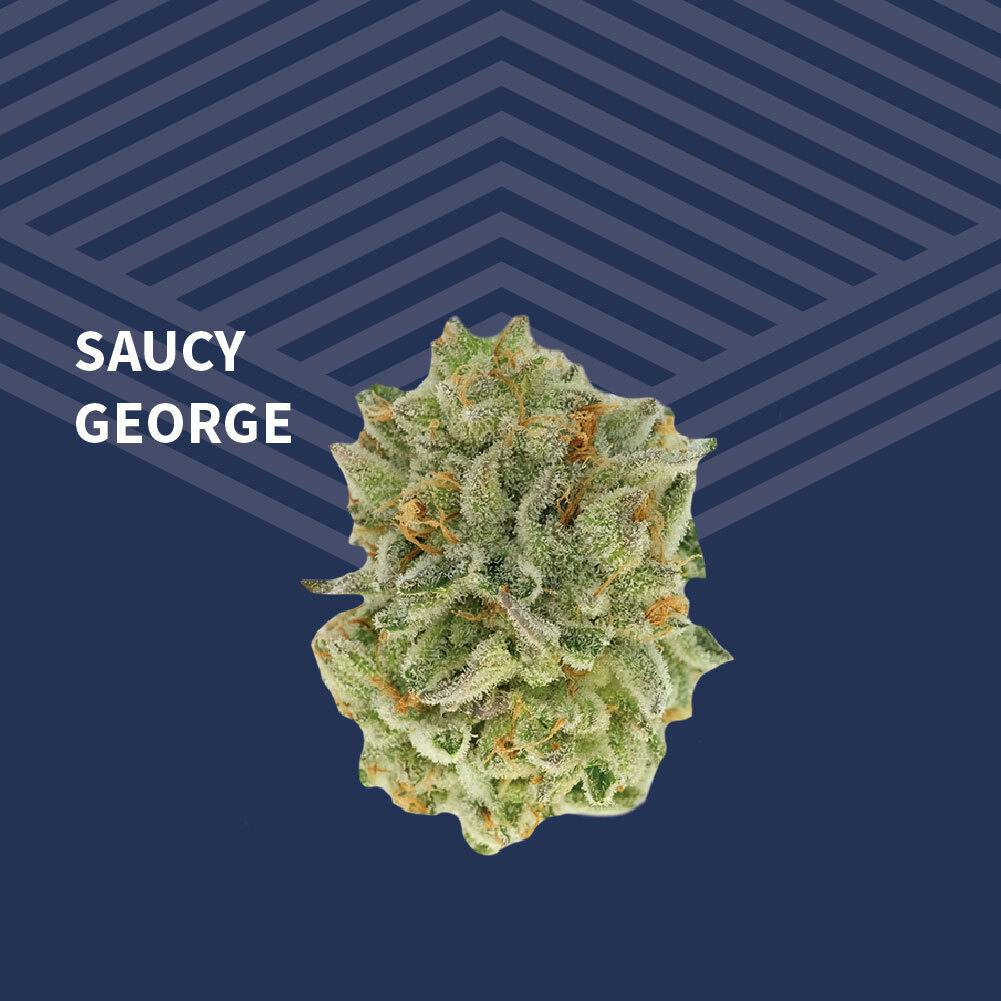 Saucy George